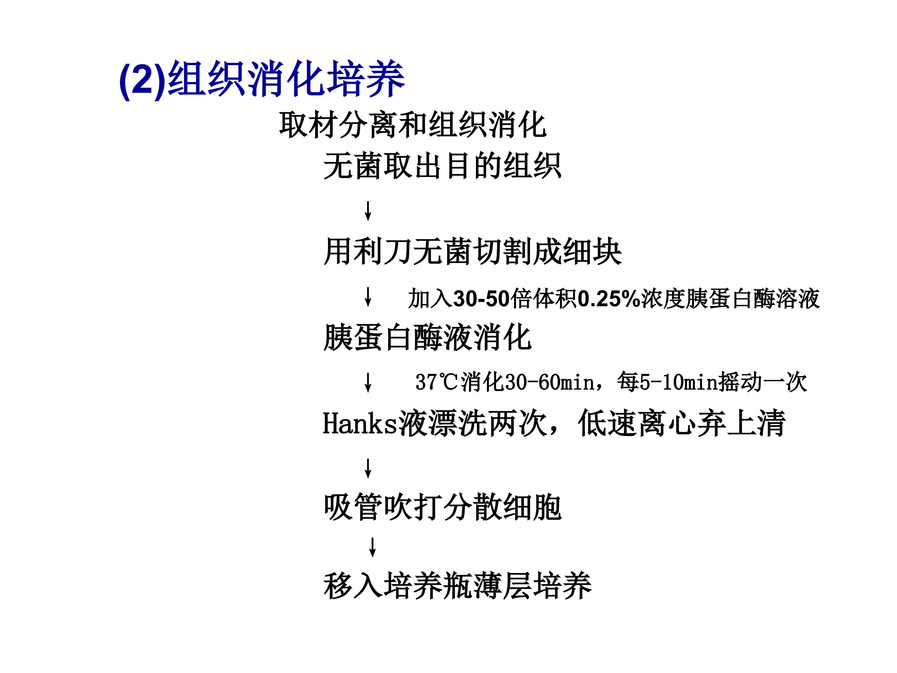 83.jpg