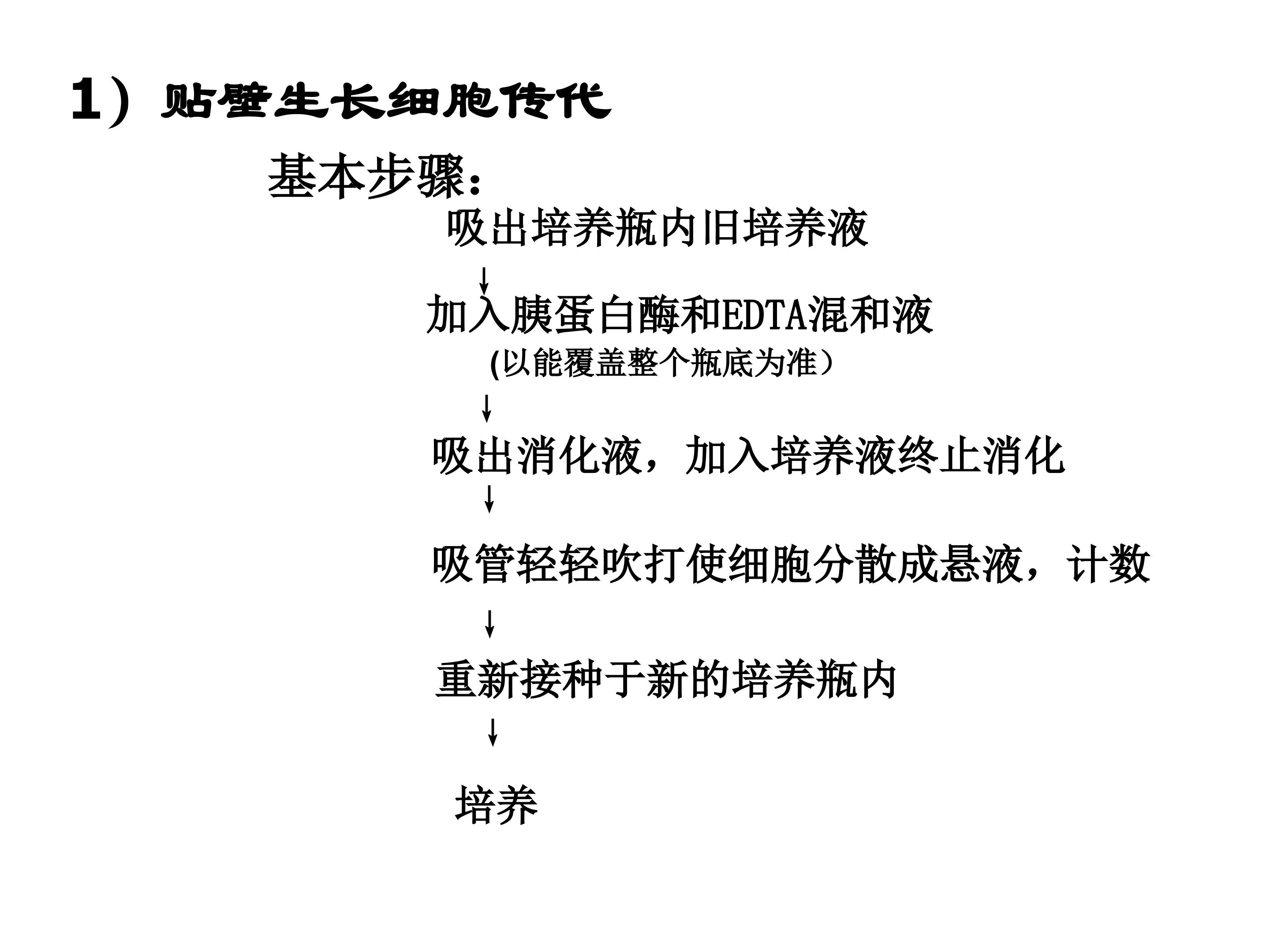 87.jpg