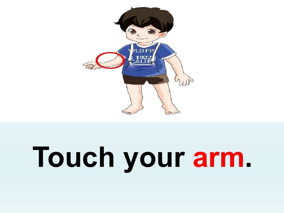 4.jpg