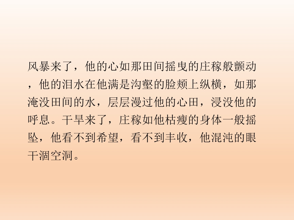 40.jpg