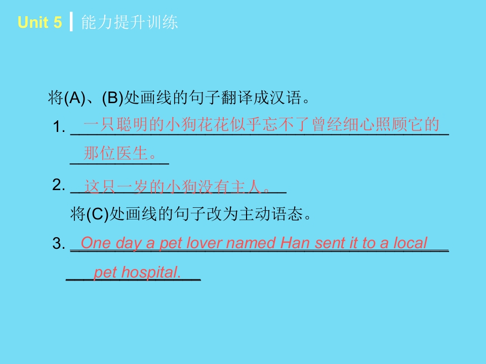 126.jpg