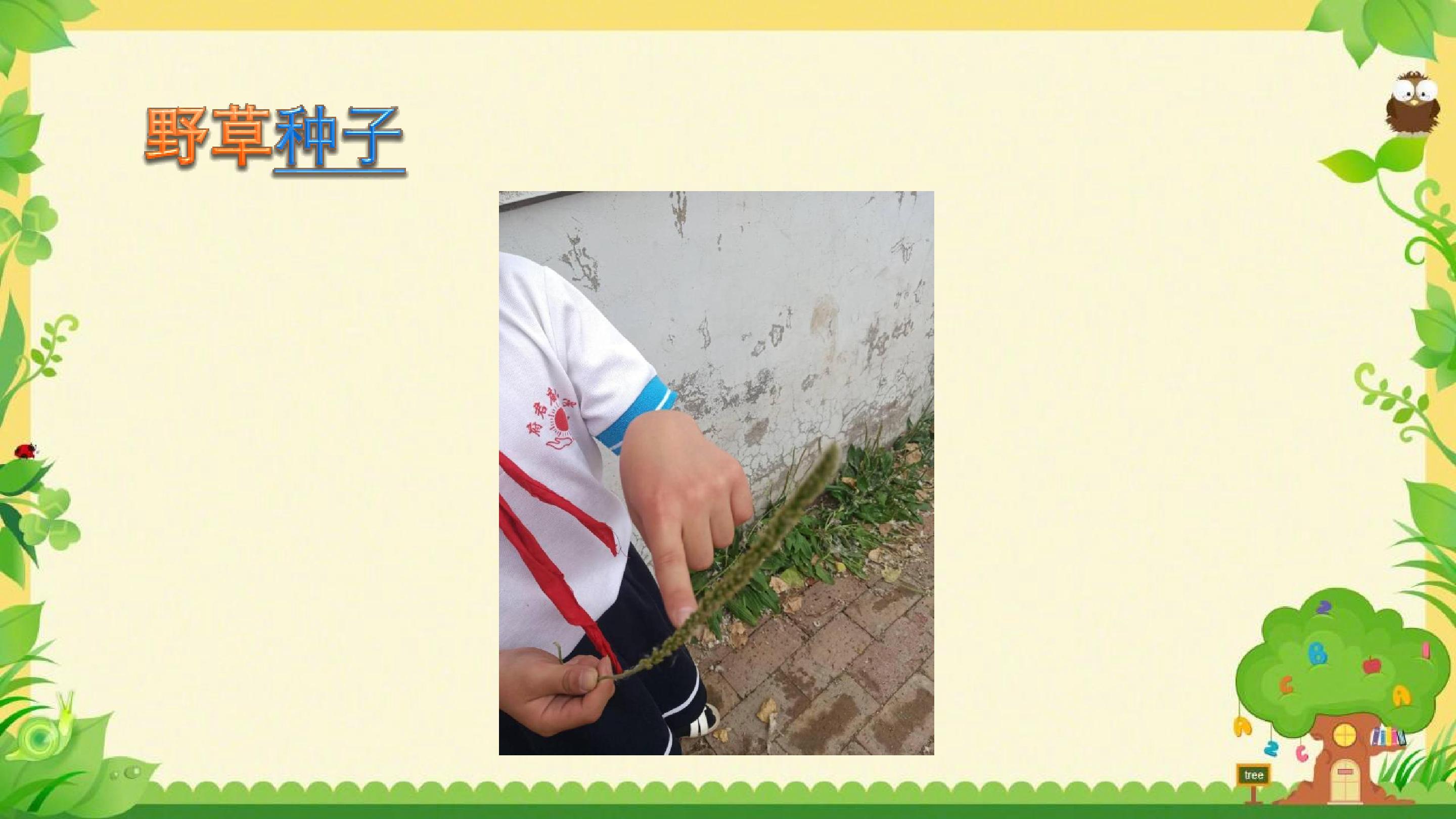 22.jpg