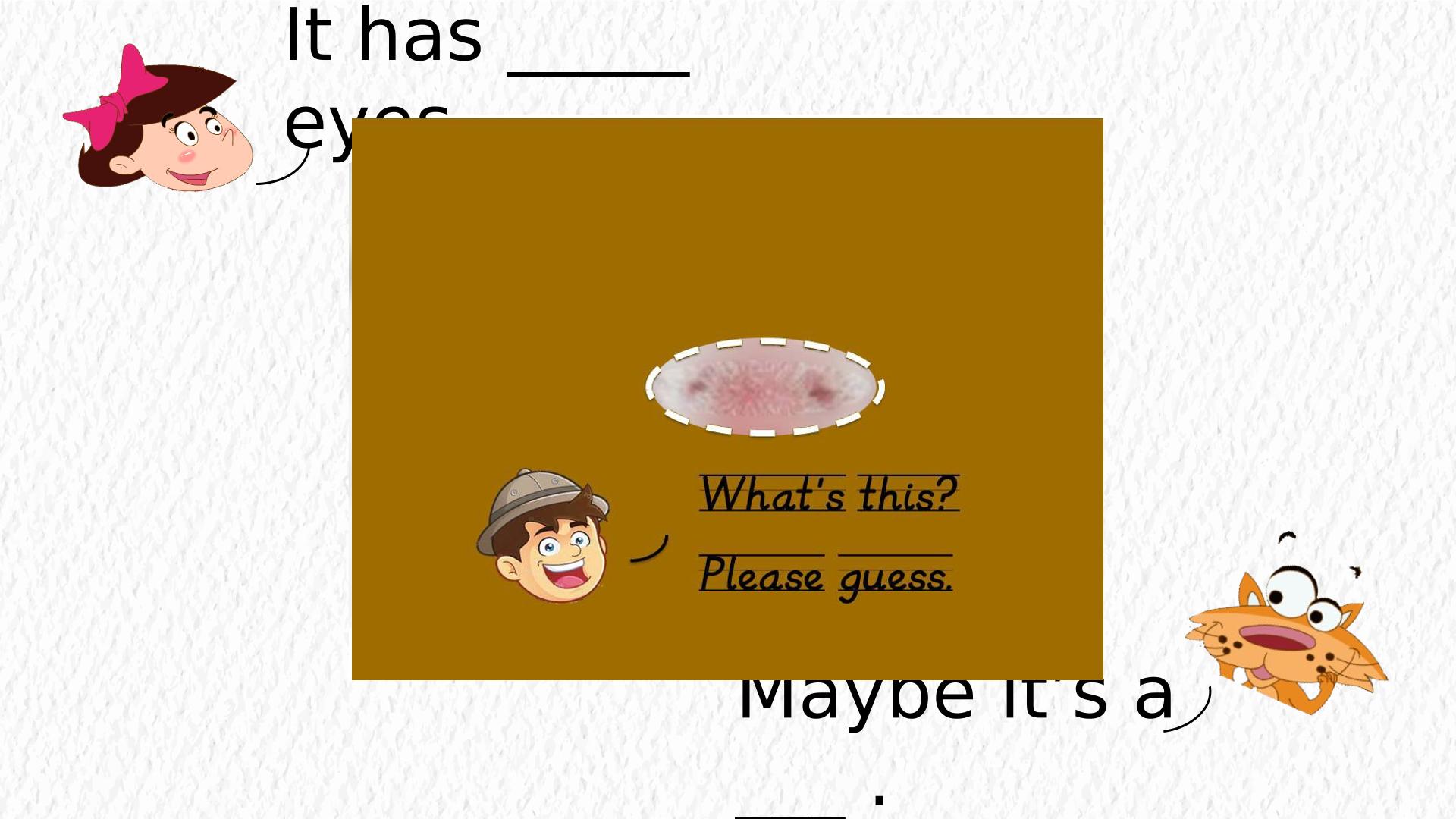 42.jpg