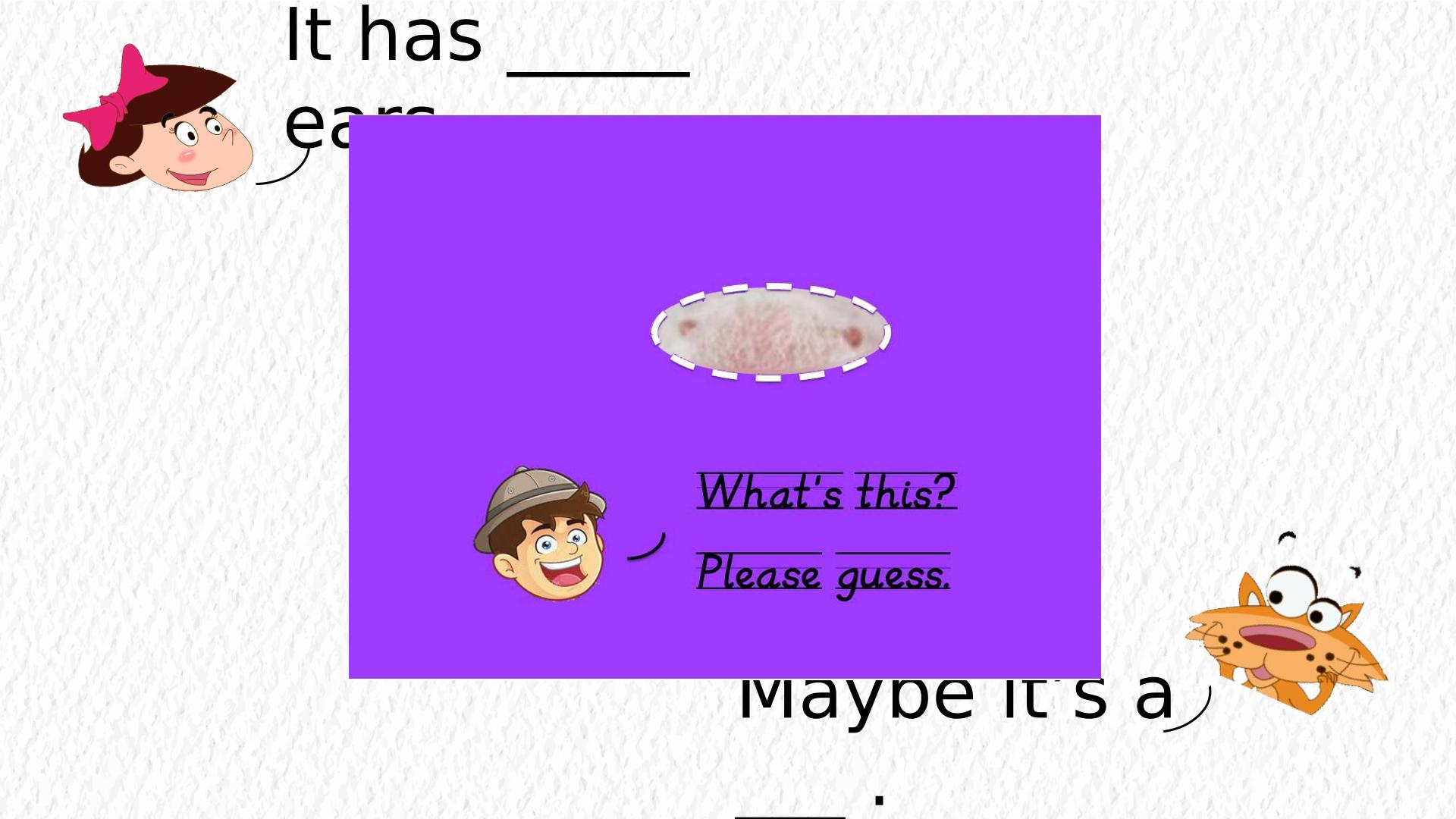 43.jpg