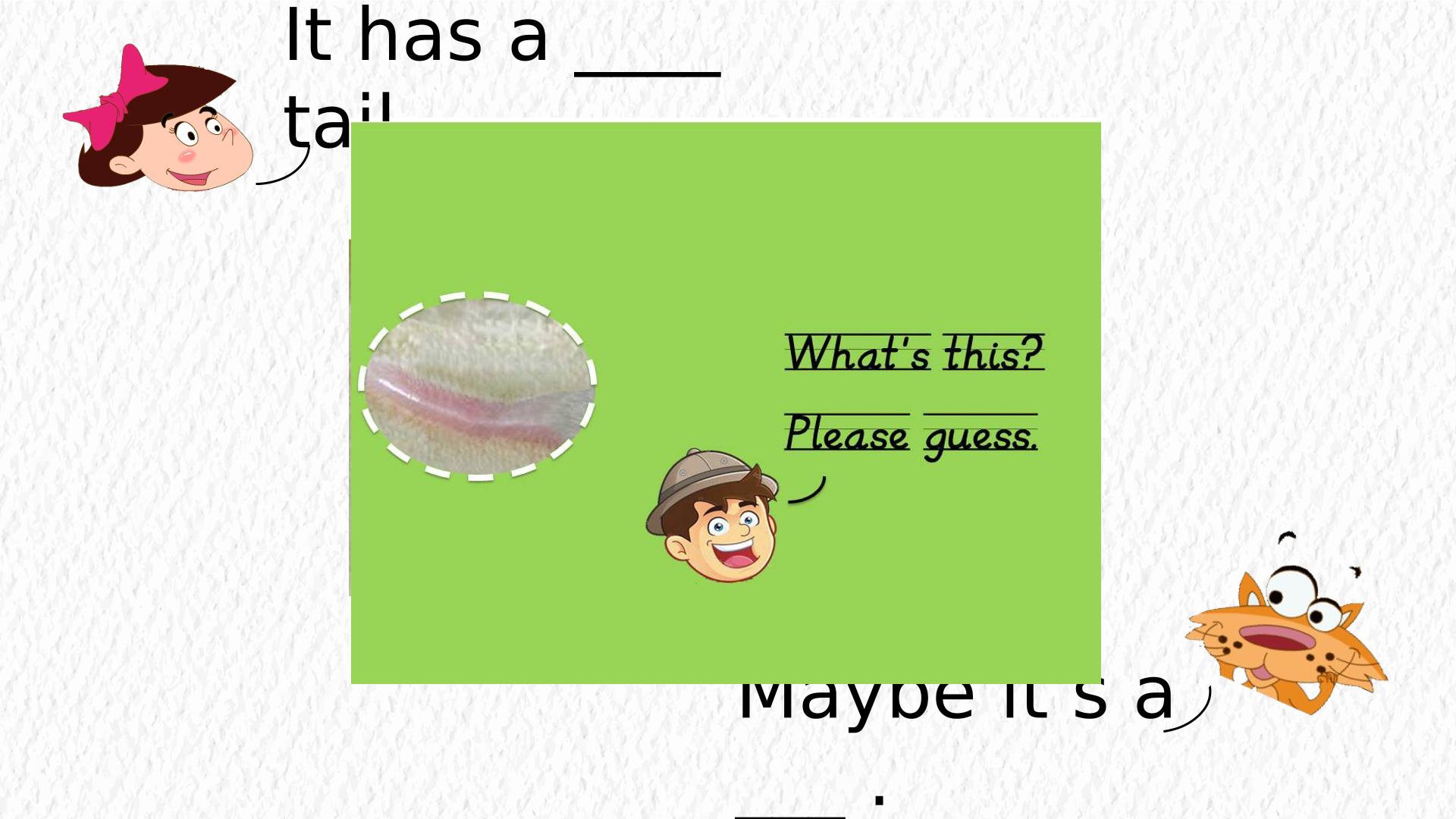 44.jpg