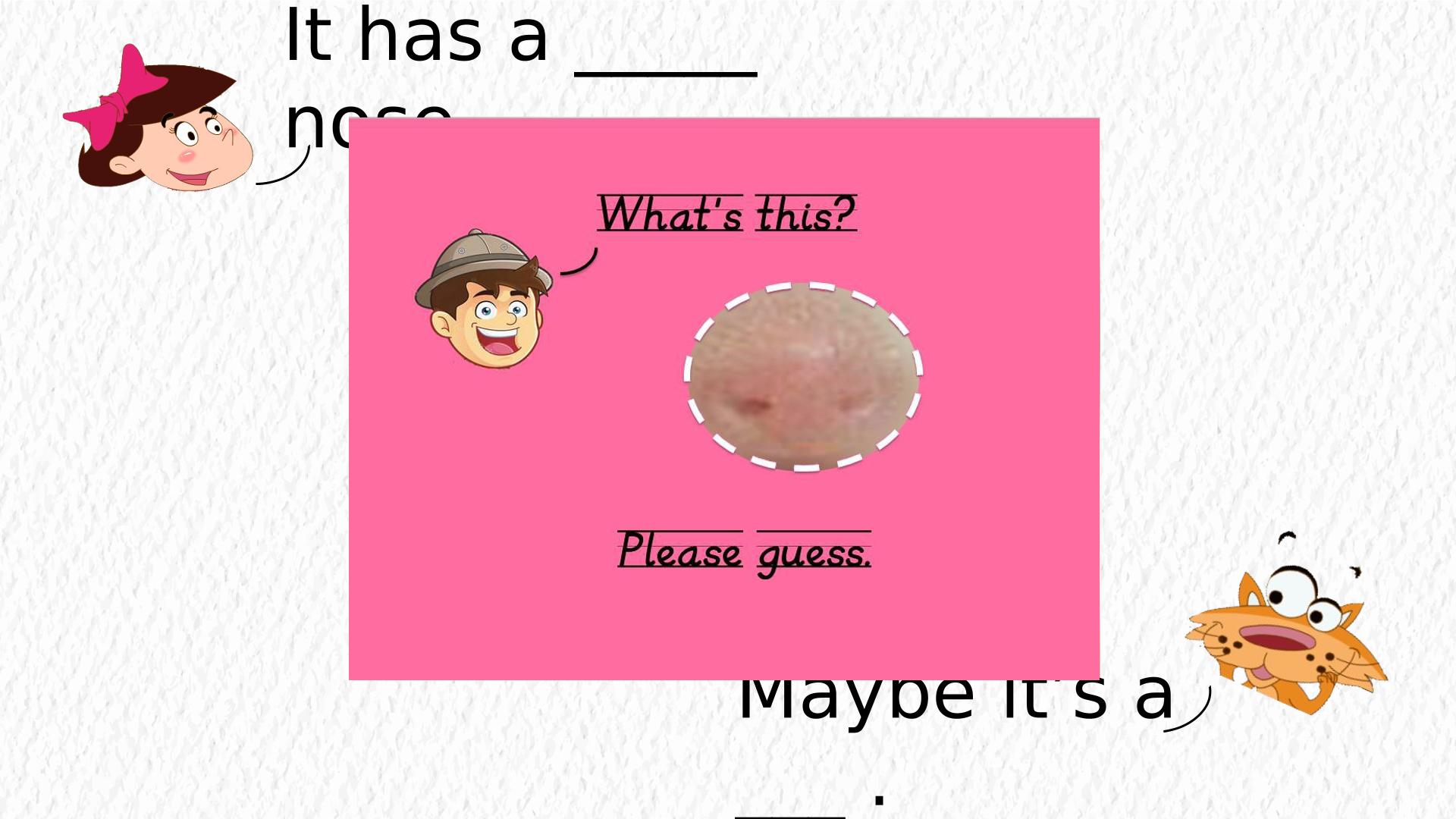 46.jpg