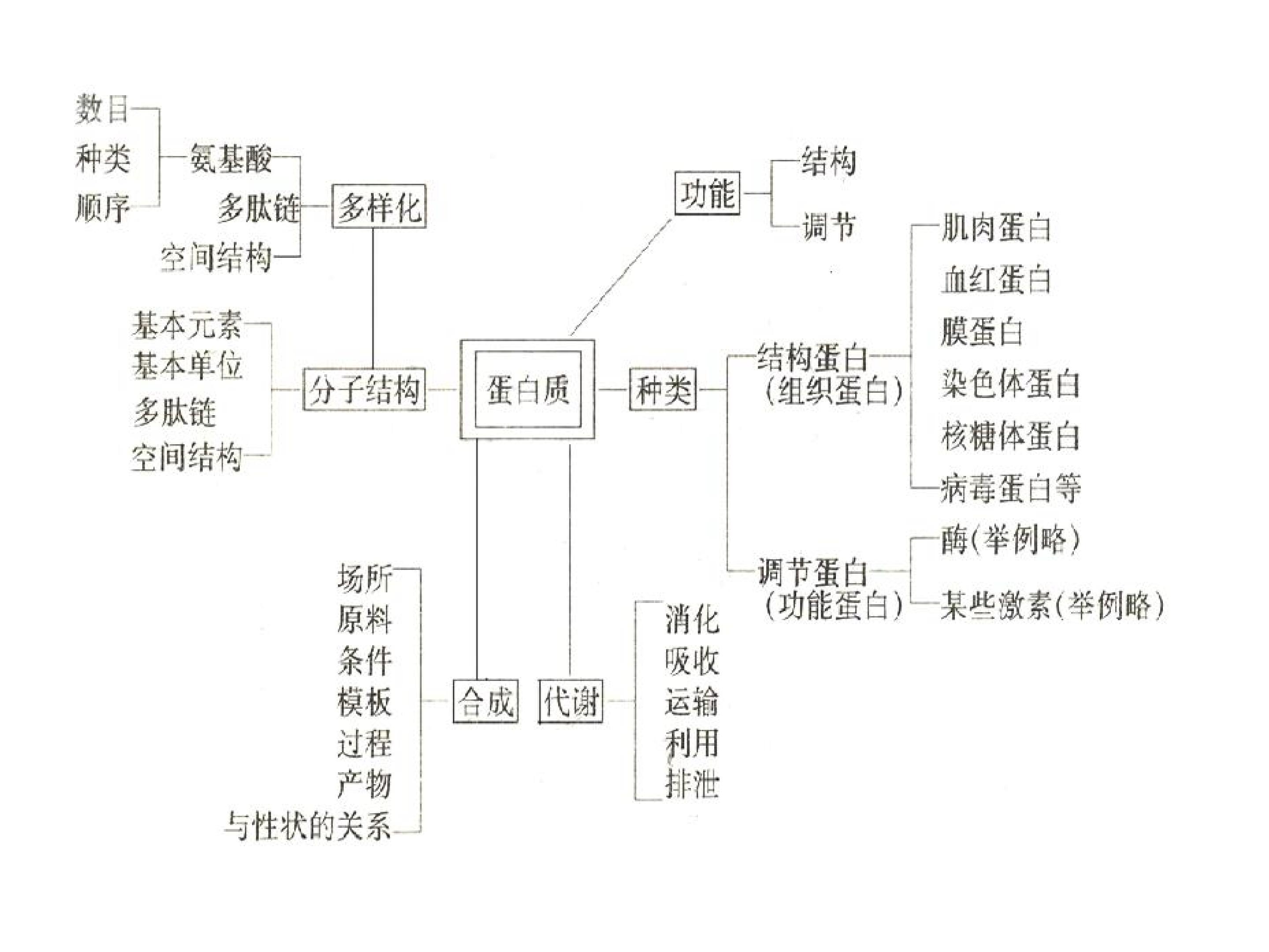 85.jpg