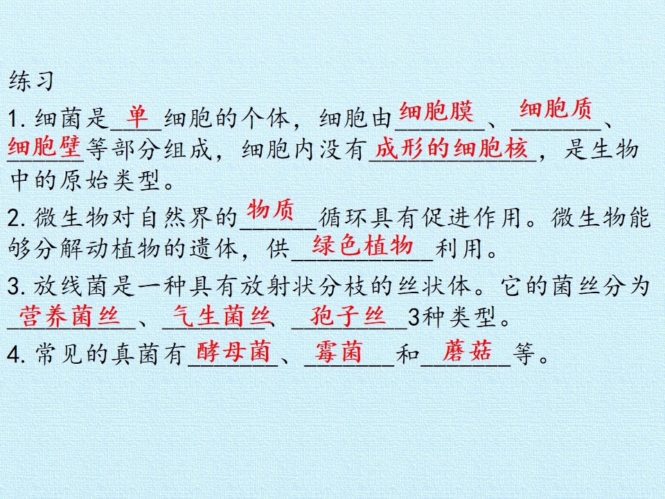 44.jpg