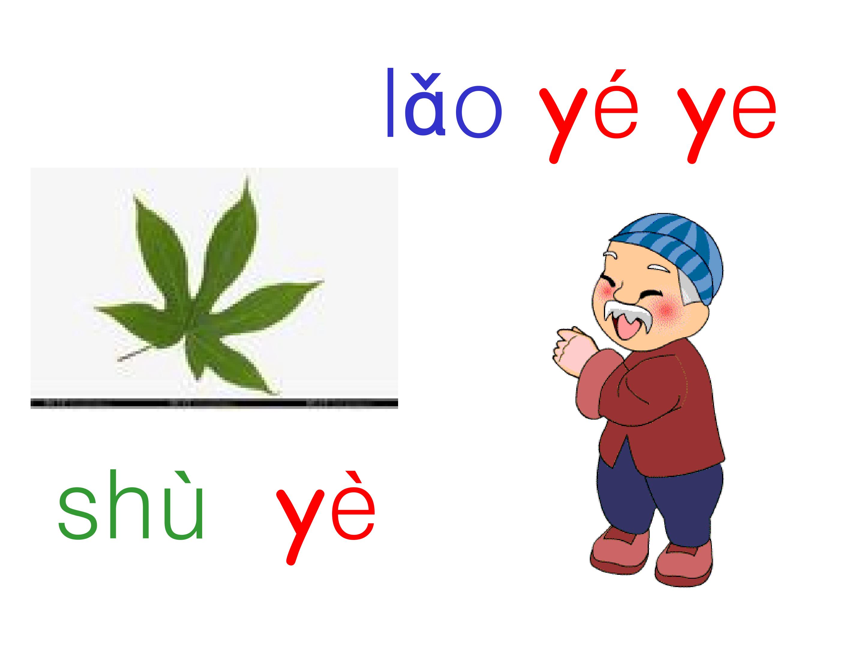 16.jpg