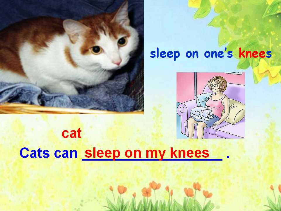 24.jpg