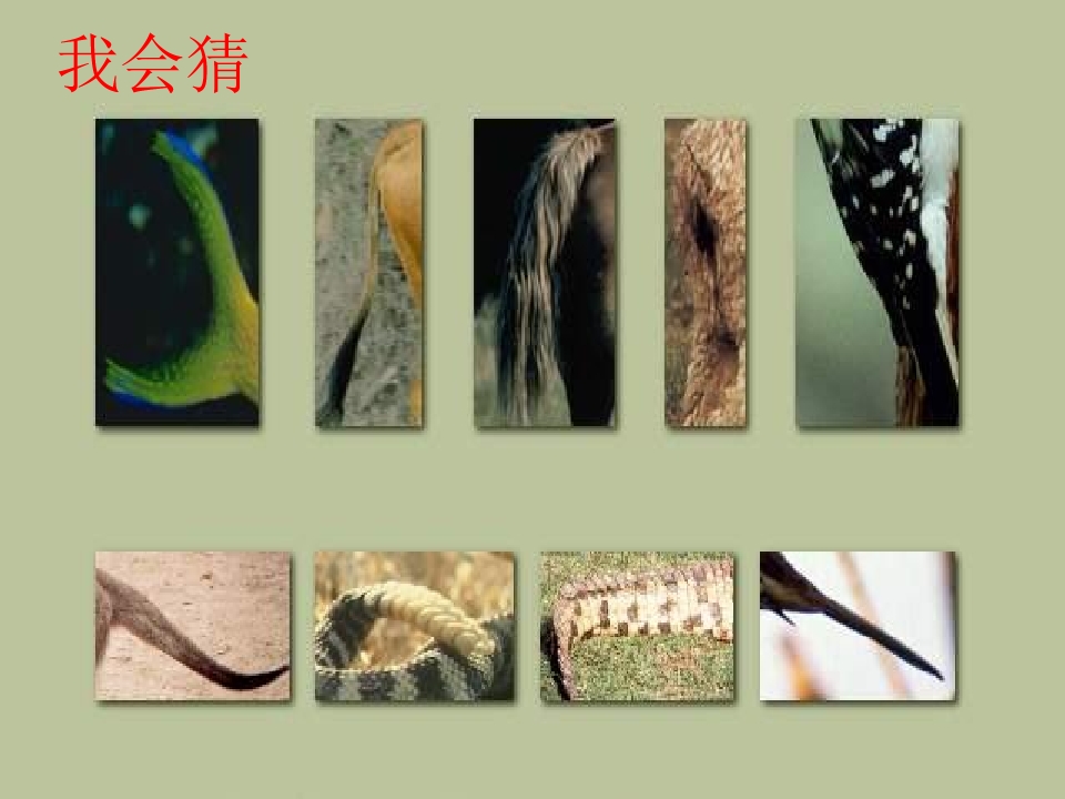 12.jpg(6)