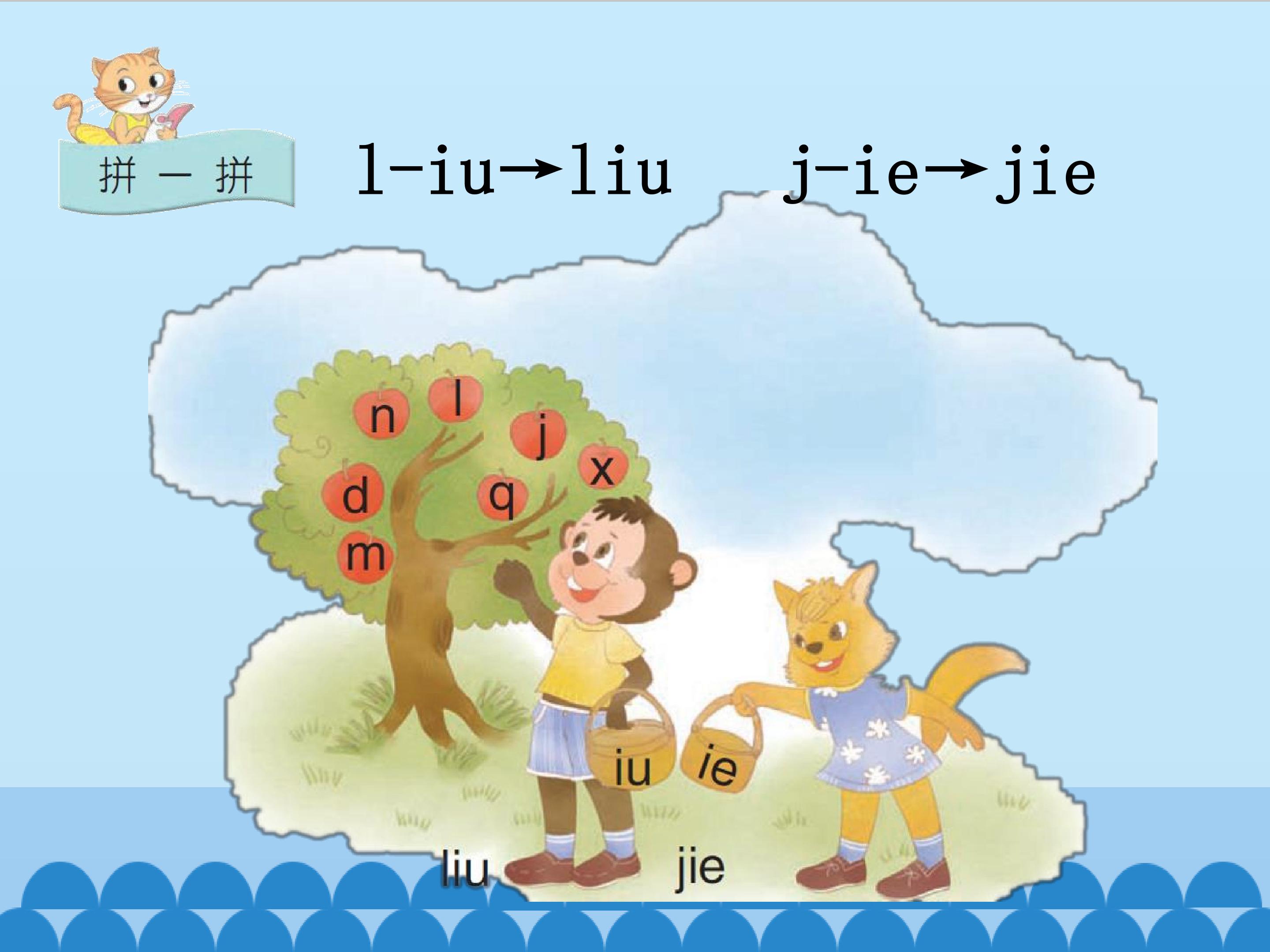 11.jpg