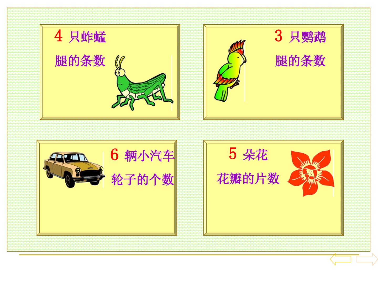 23.jpg