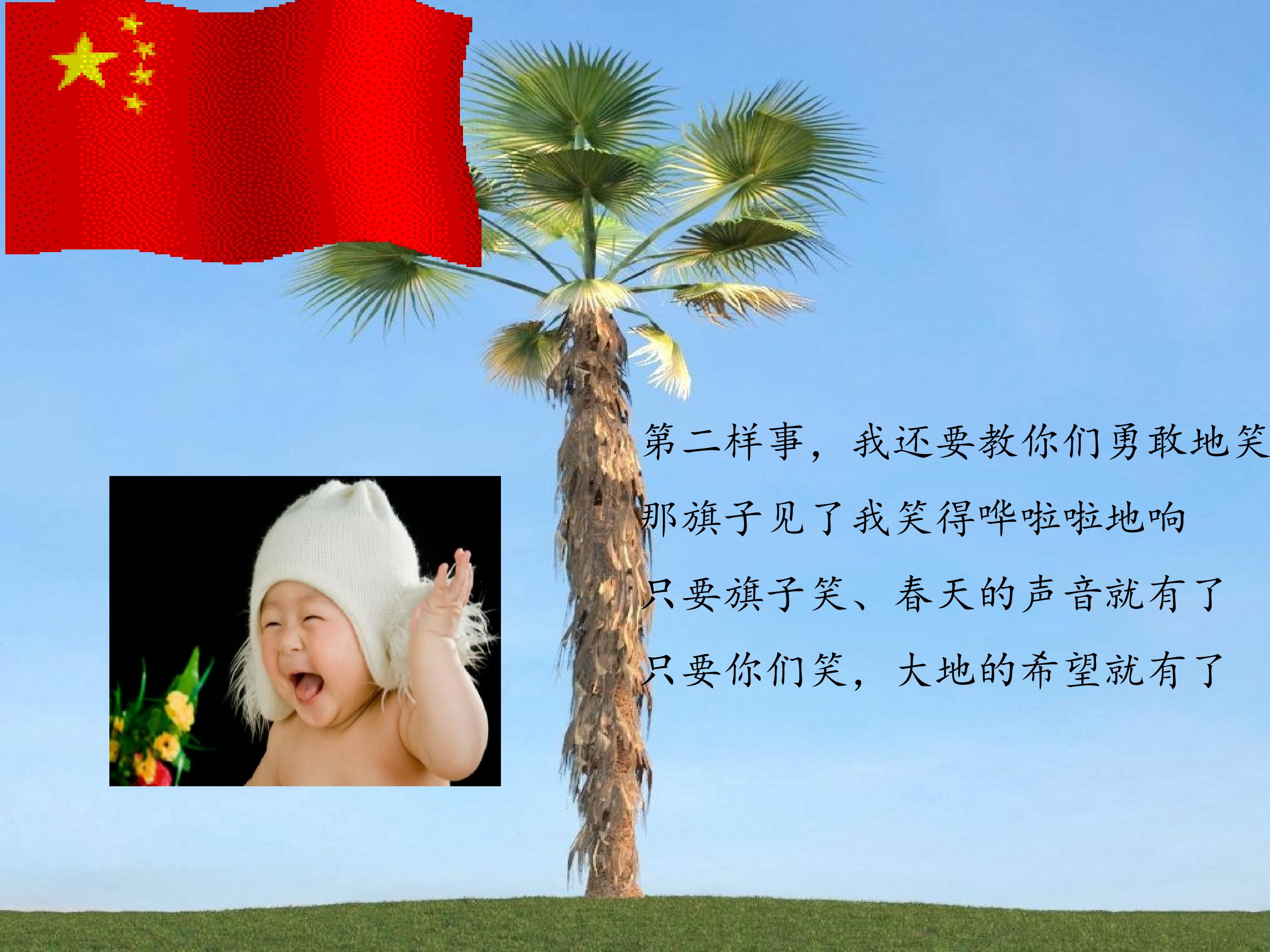 21.jpg