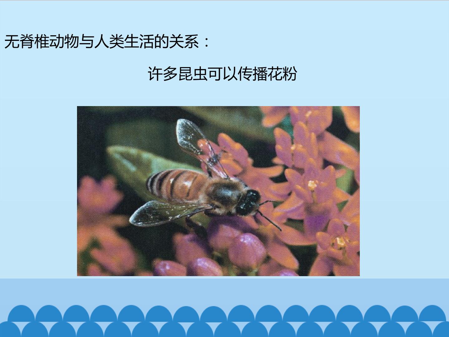103.jpg