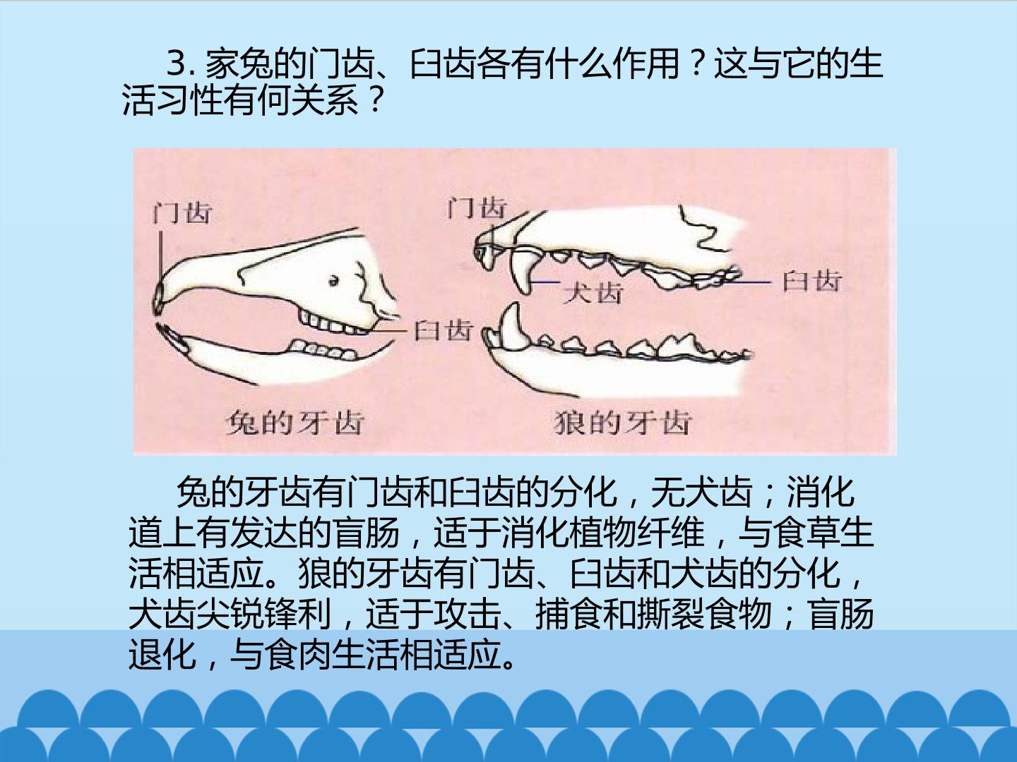 54.jpg