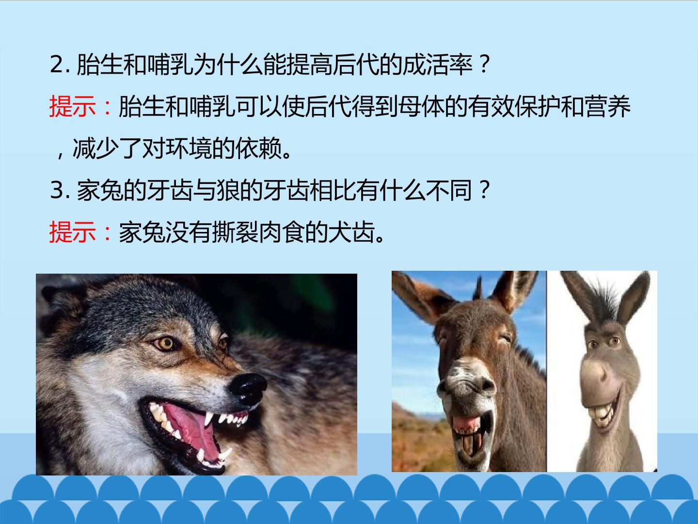 57.jpg