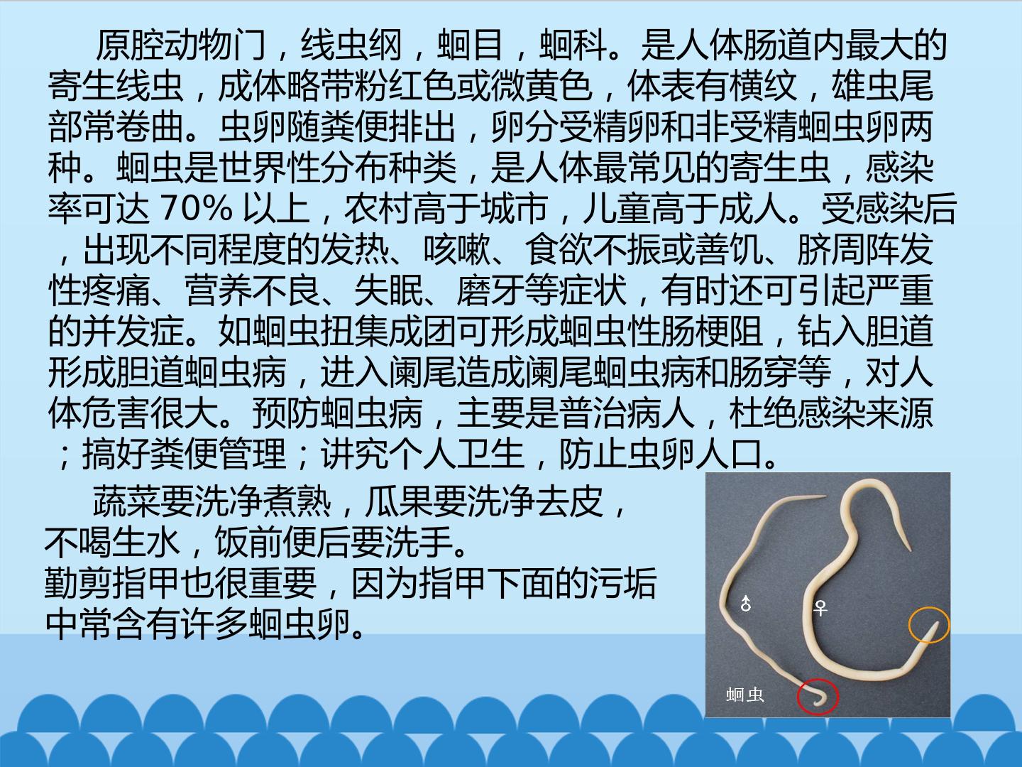 79.jpg