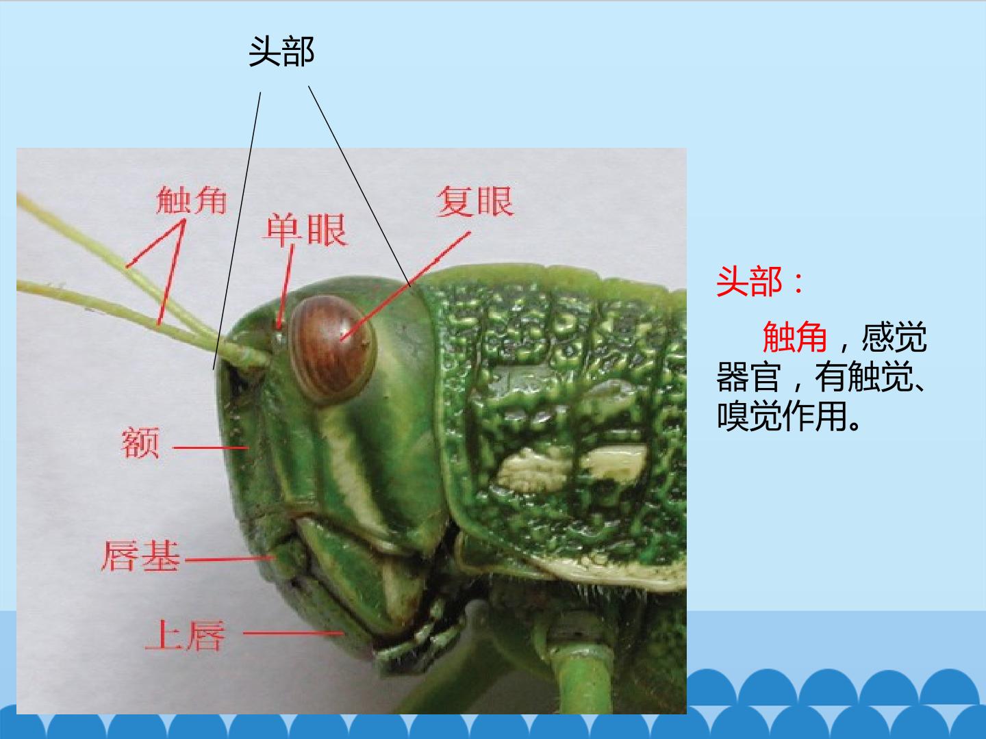 93.jpg