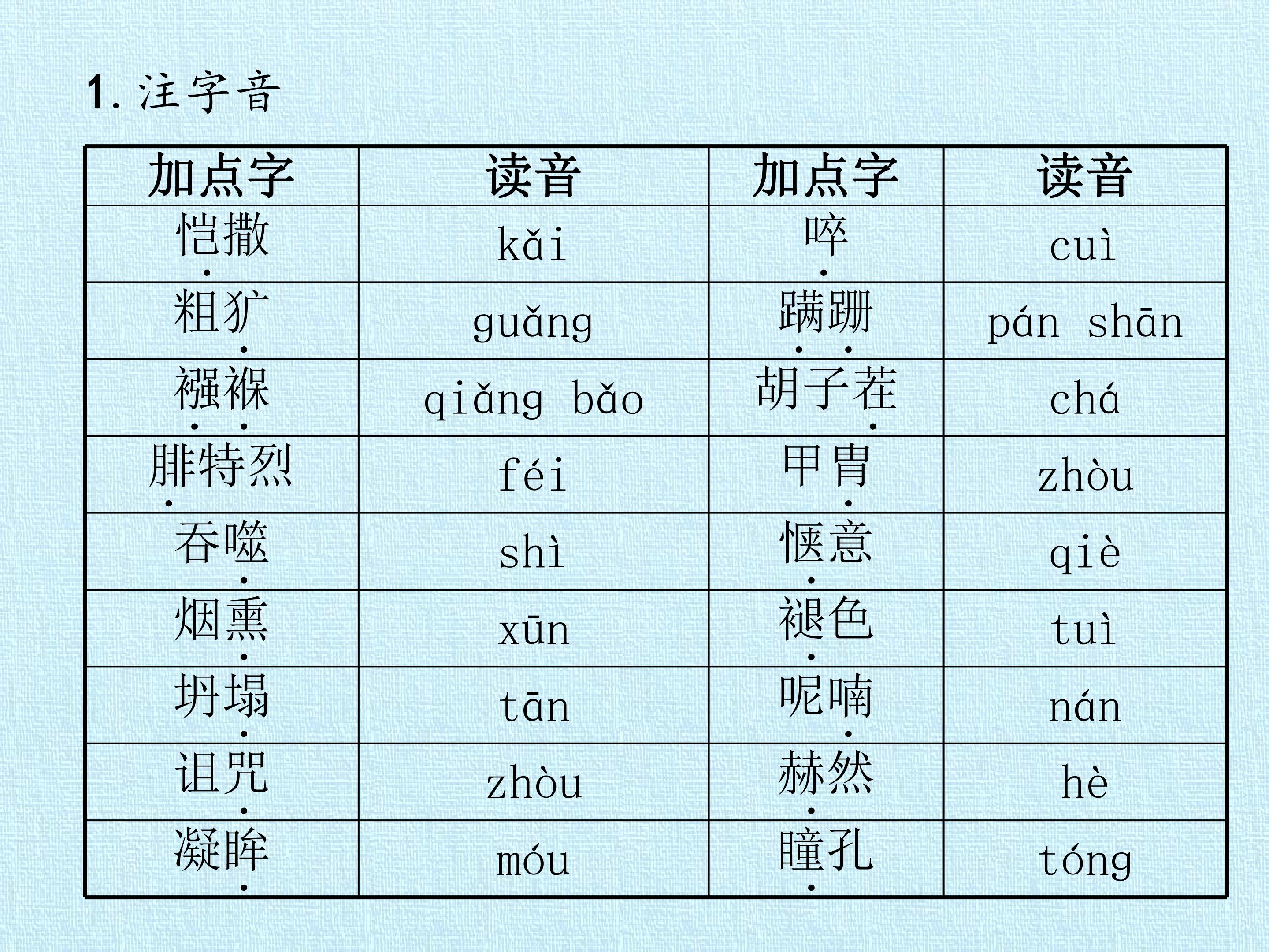 16.jpg