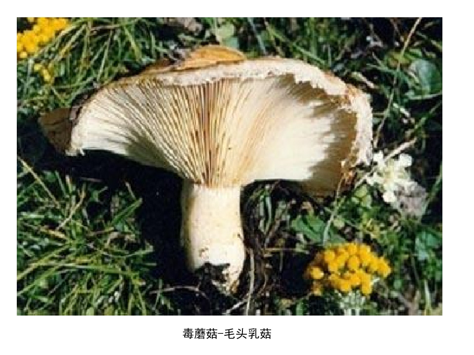54.jpg