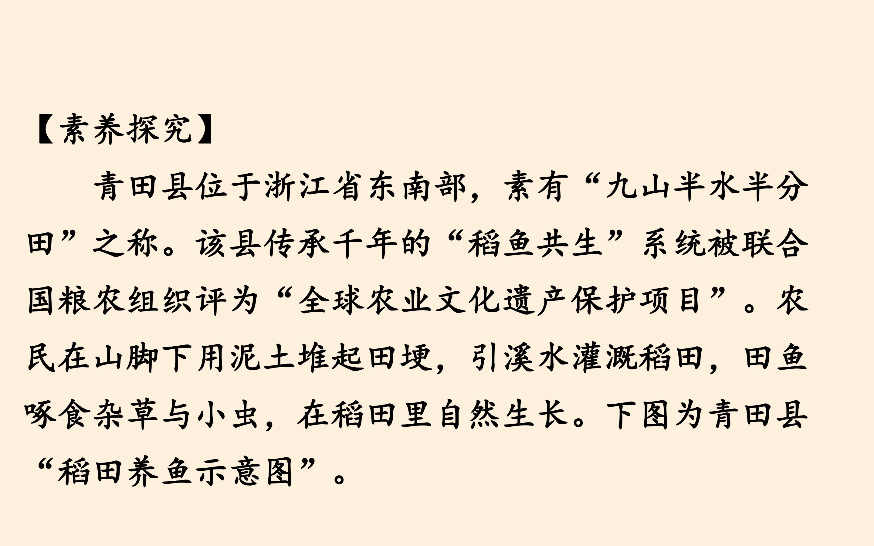 52.jpg