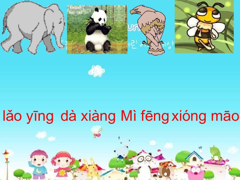 19.jpg