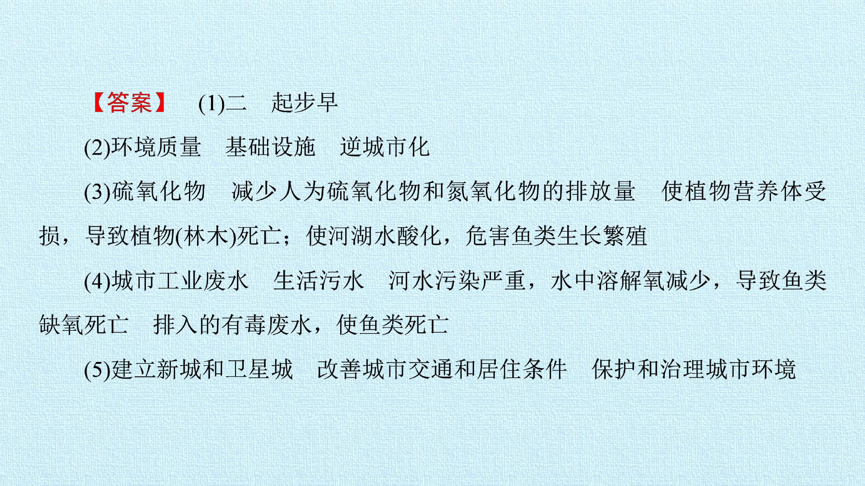 95.jpg