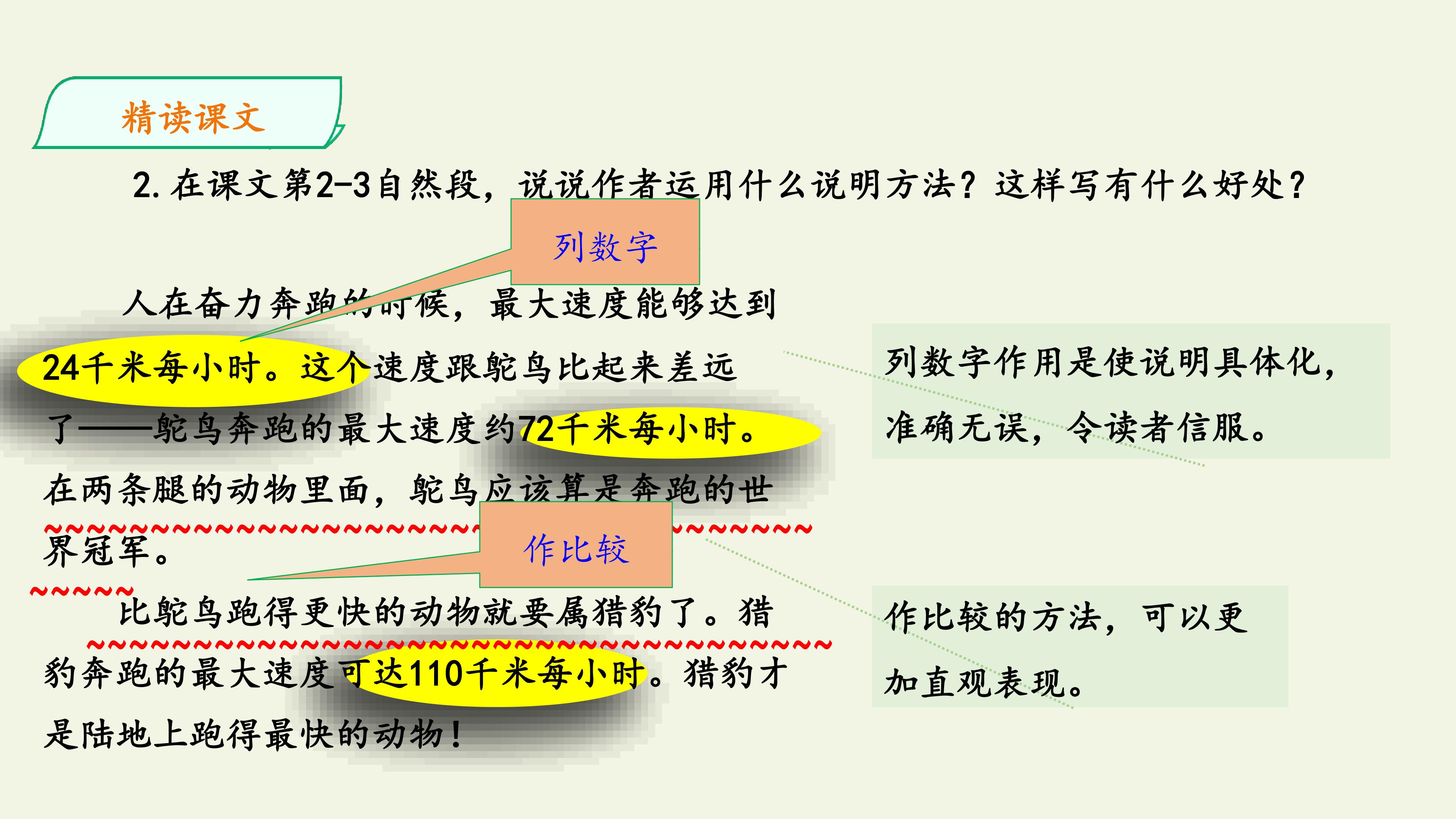 48.jpg