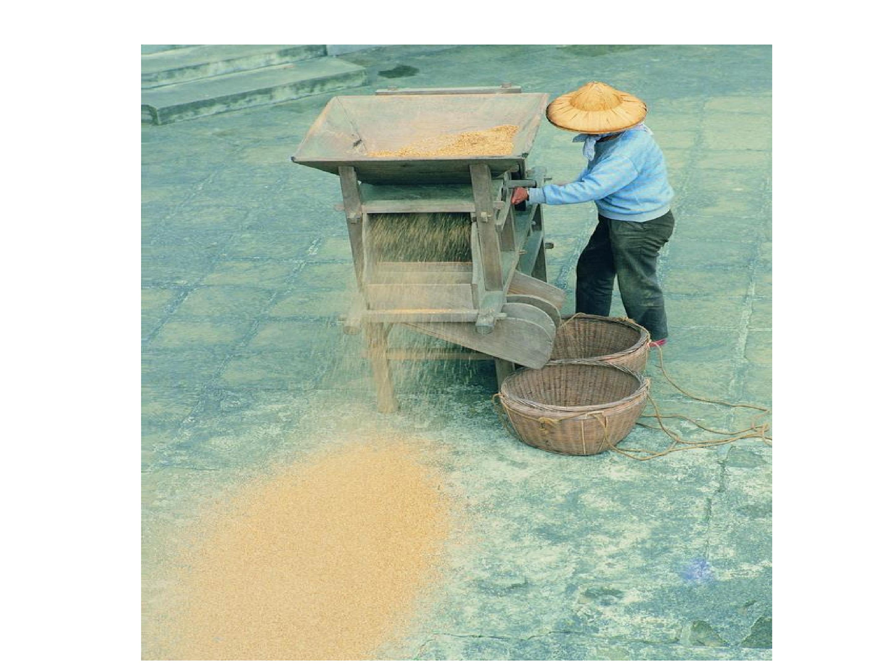 45.jpg