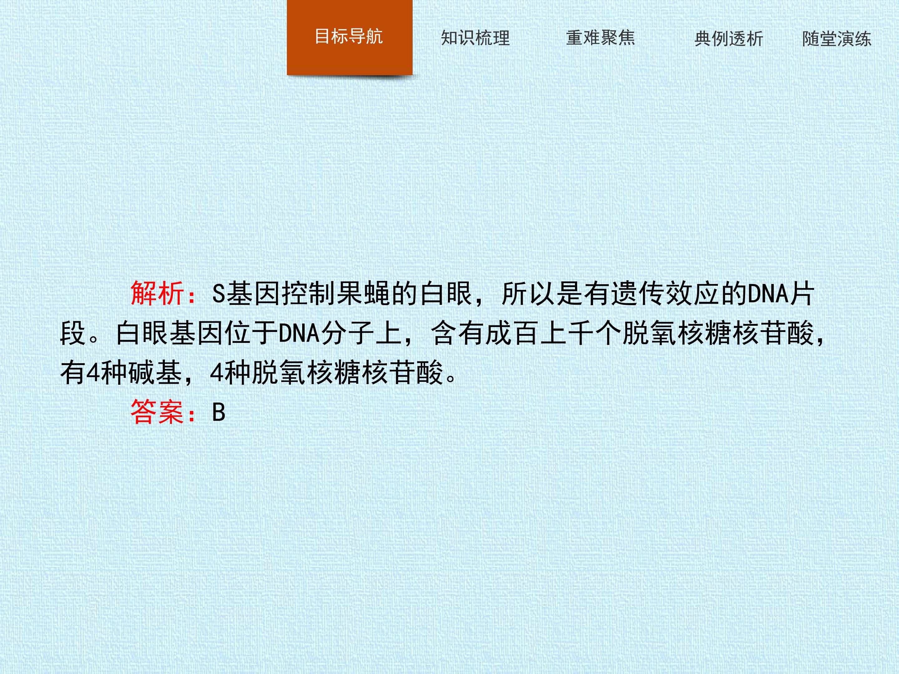 63.jpg