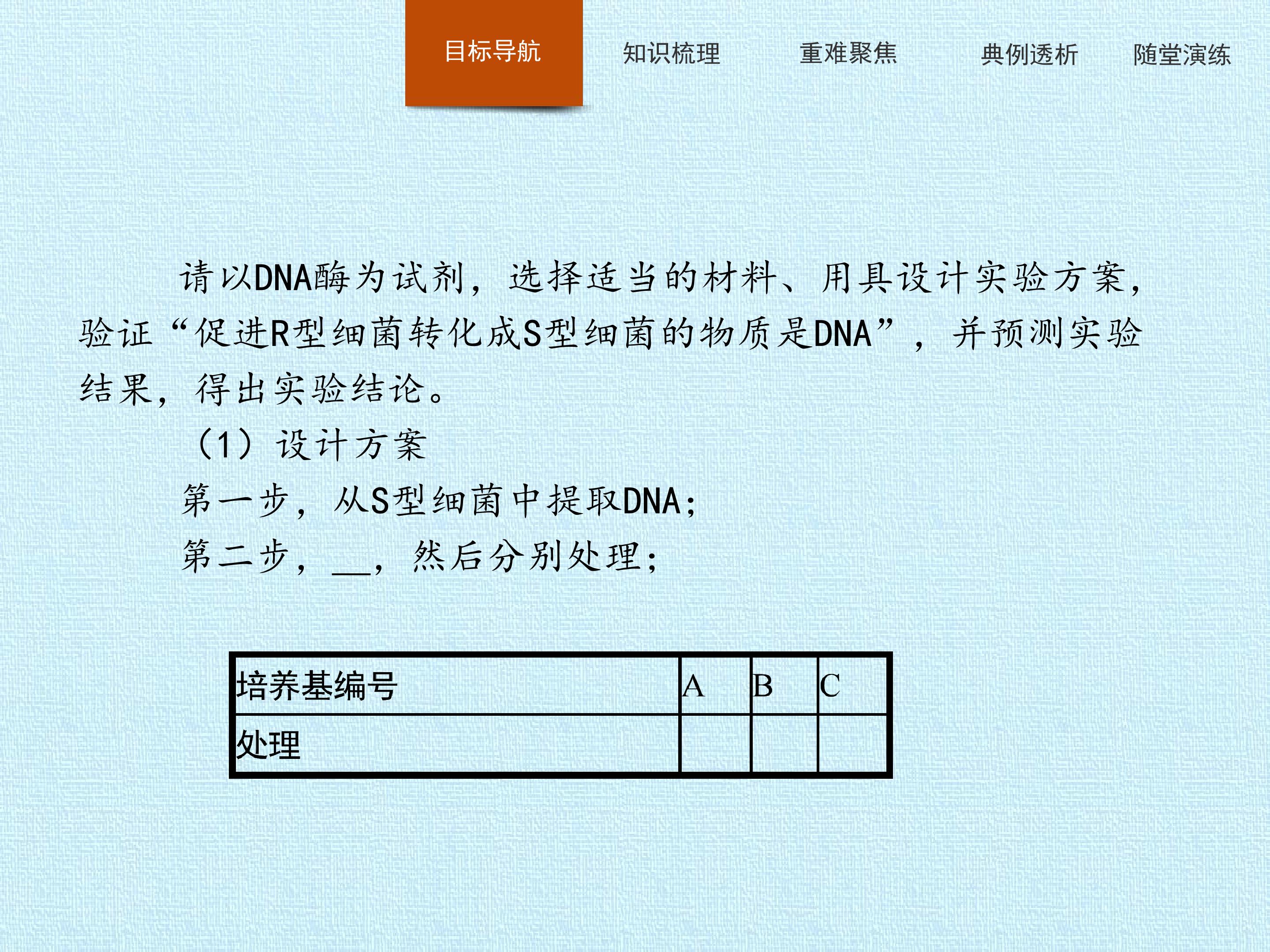 65.jpg