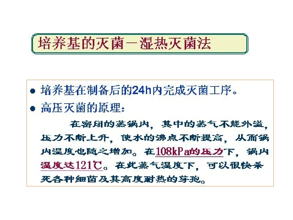 113.jpg