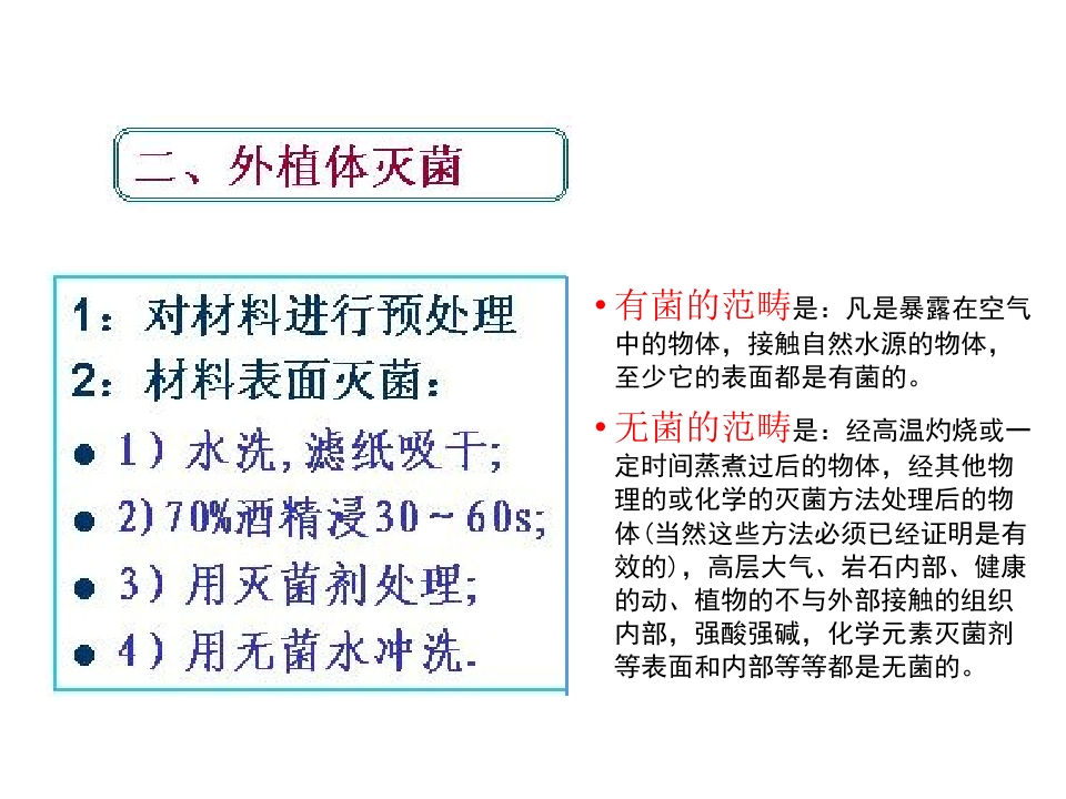 124.jpg