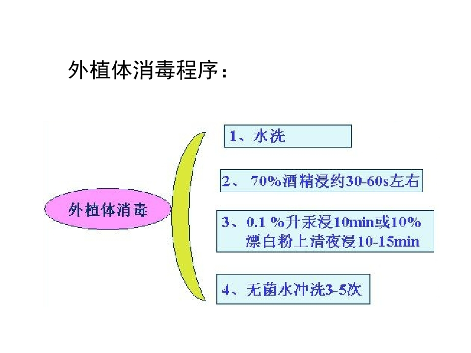 126.jpg