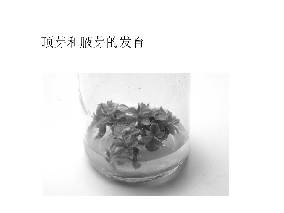 140.jpg
