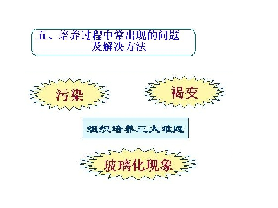 145.jpg