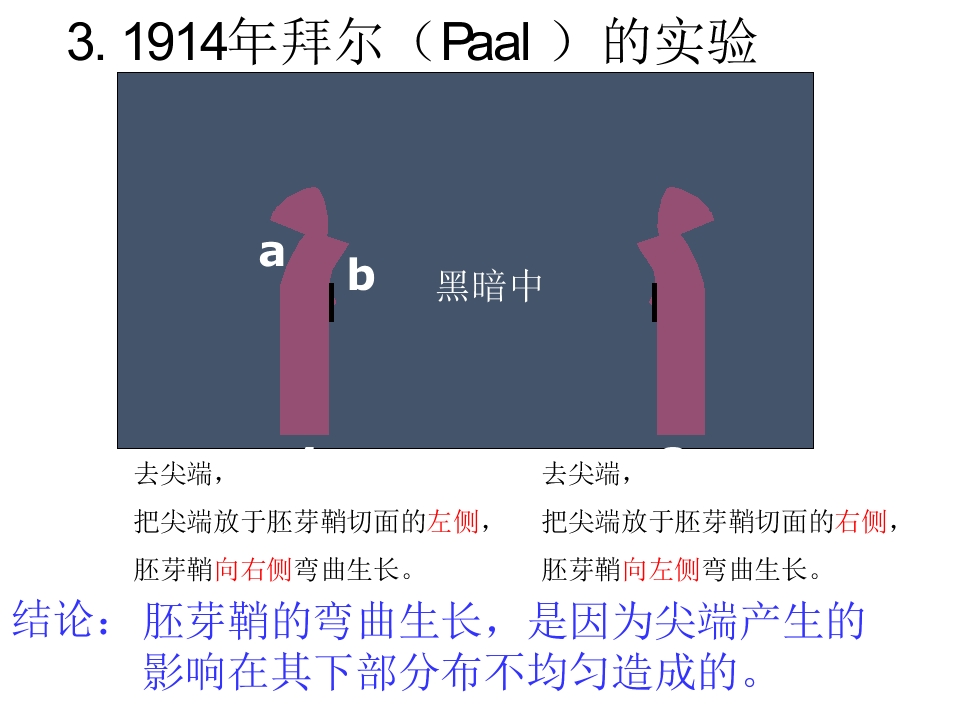 58.jpg