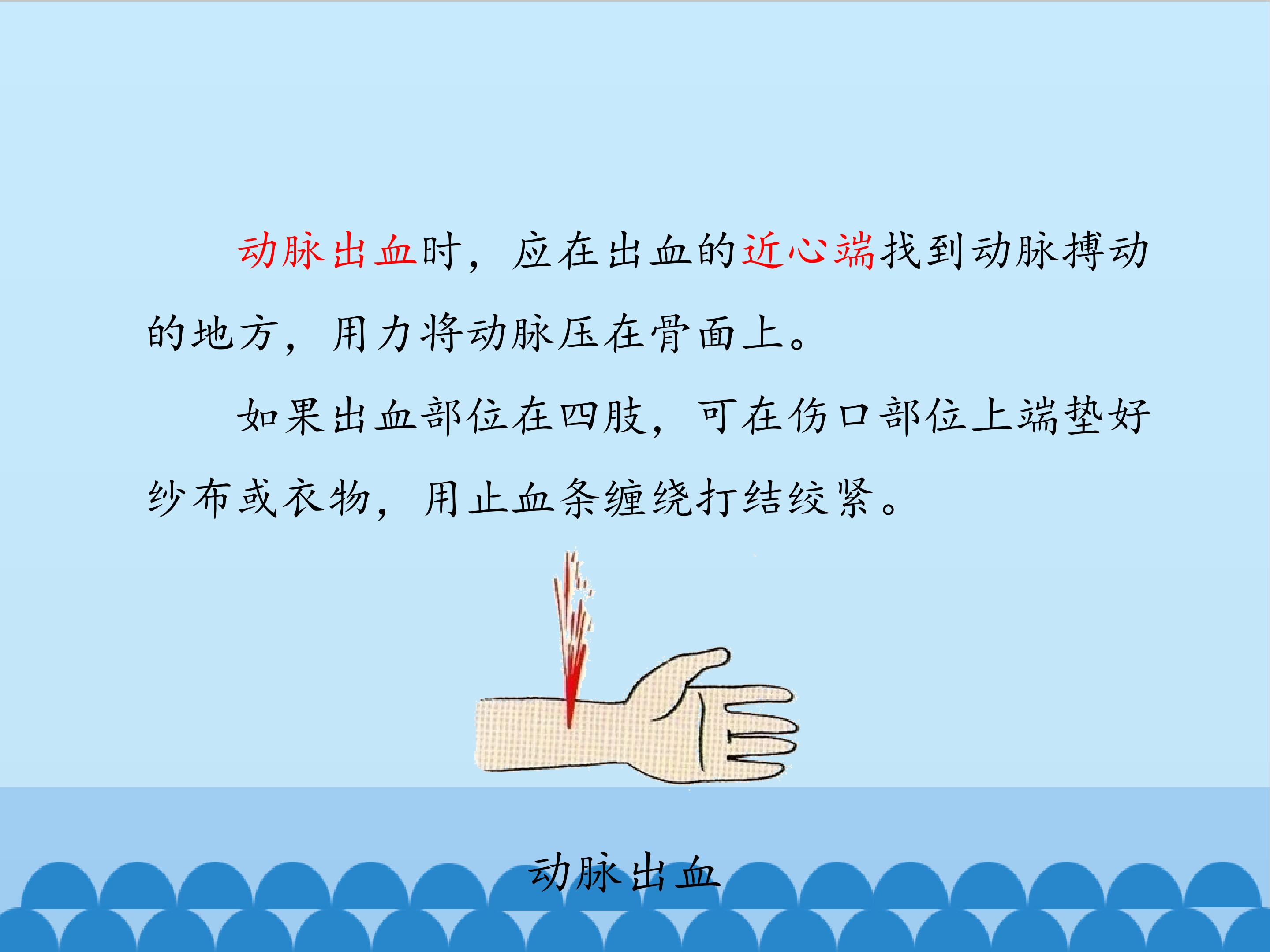 19.jpg