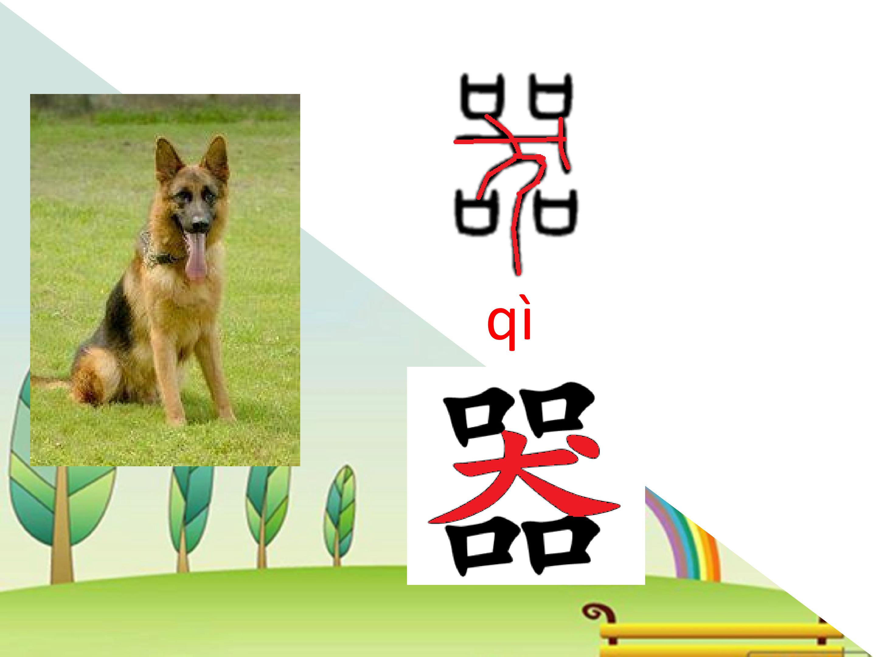 13.jpg