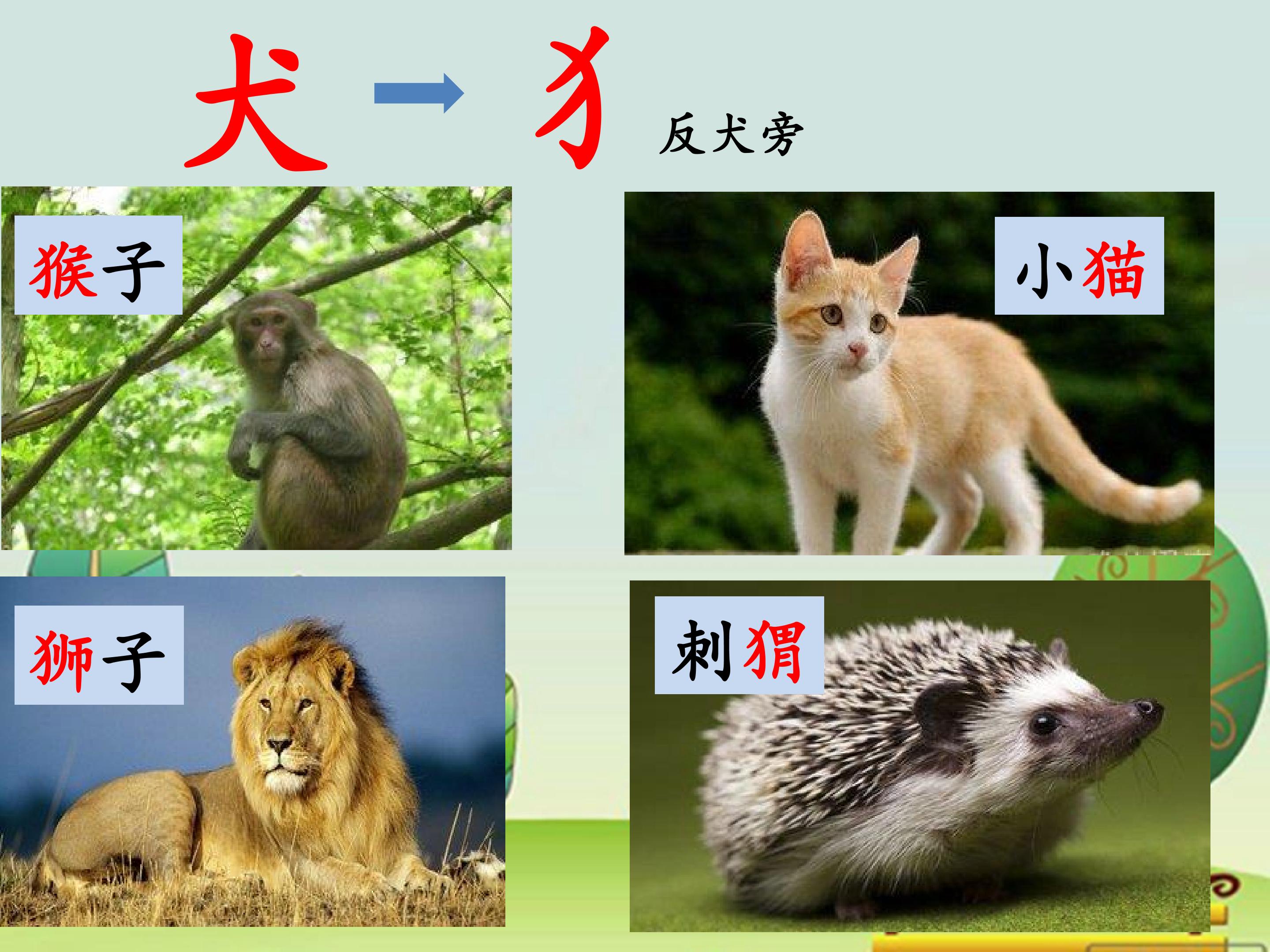 14.jpg