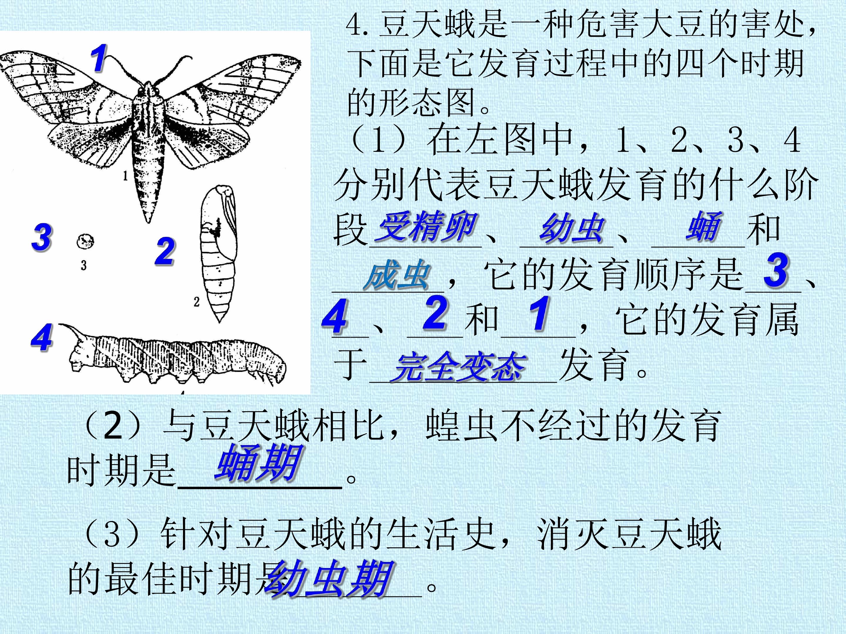 53.jpg
