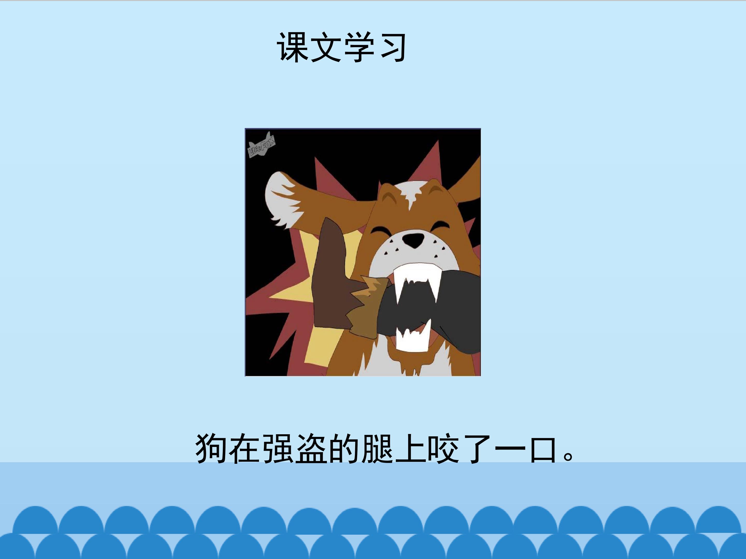 14.jpg