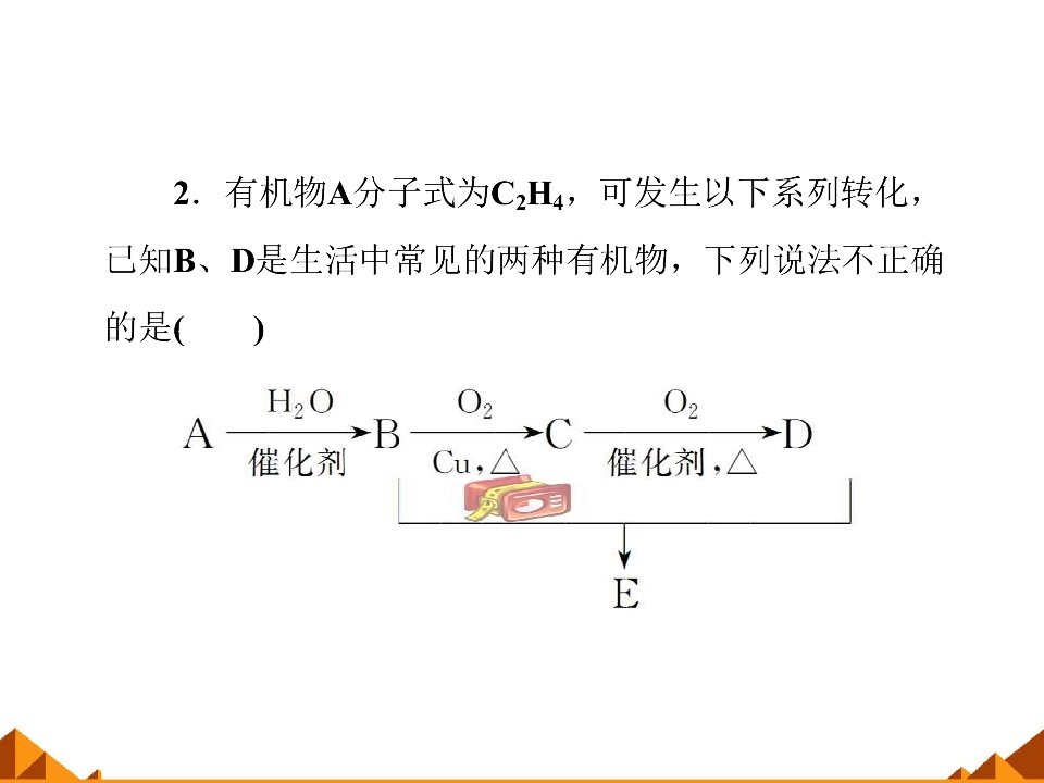 54.jpg