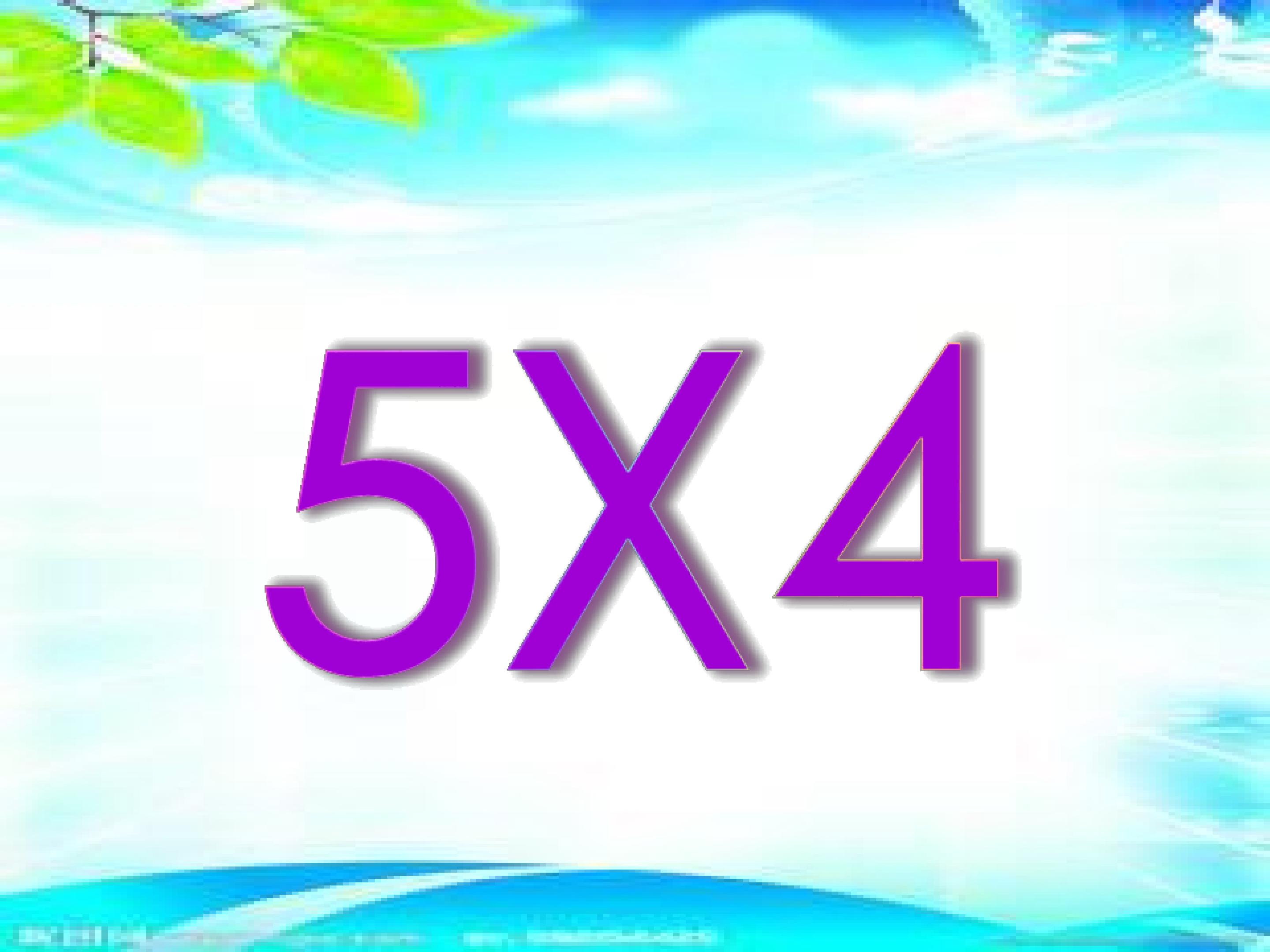 15.jpg