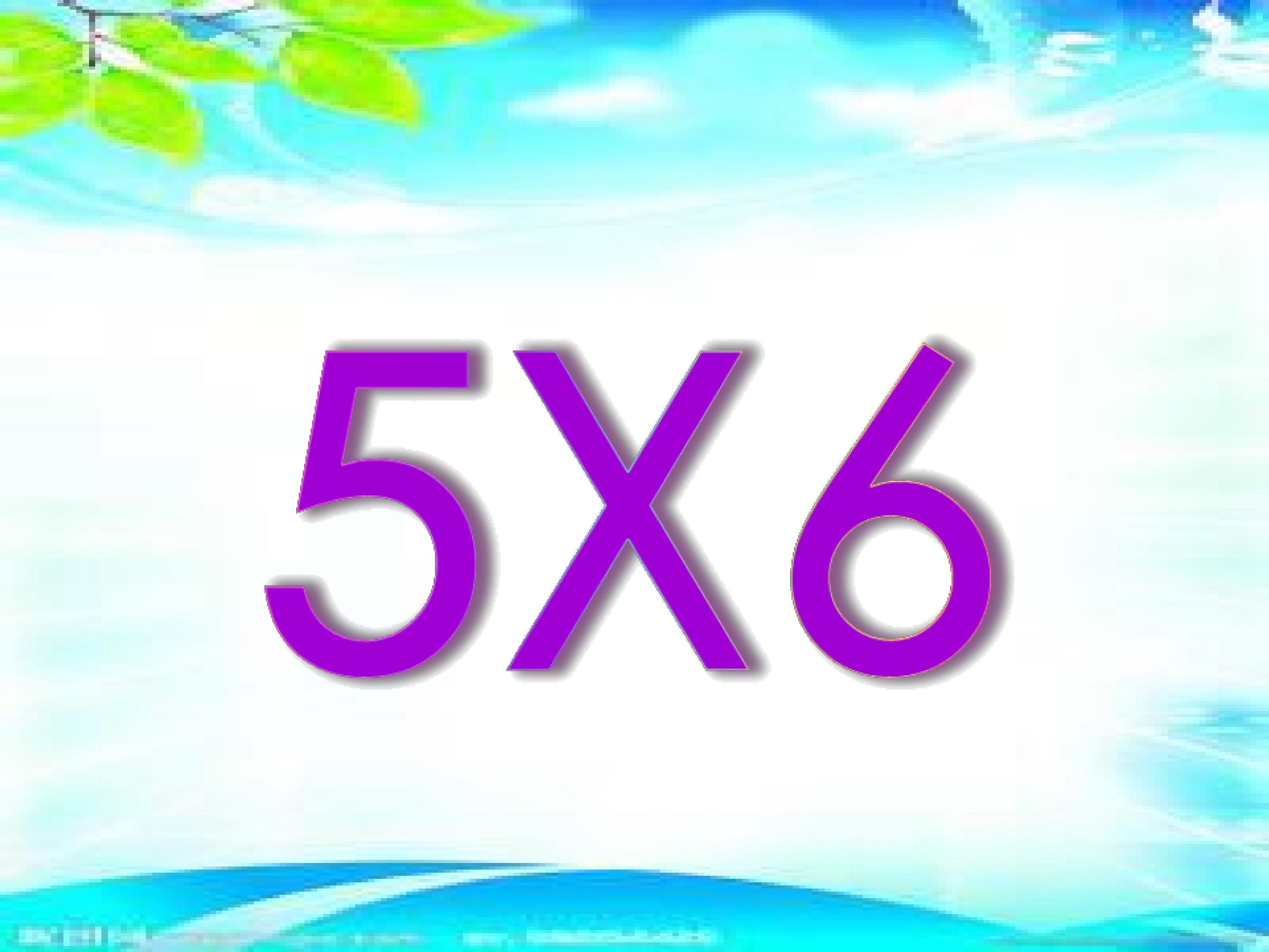 16.jpg