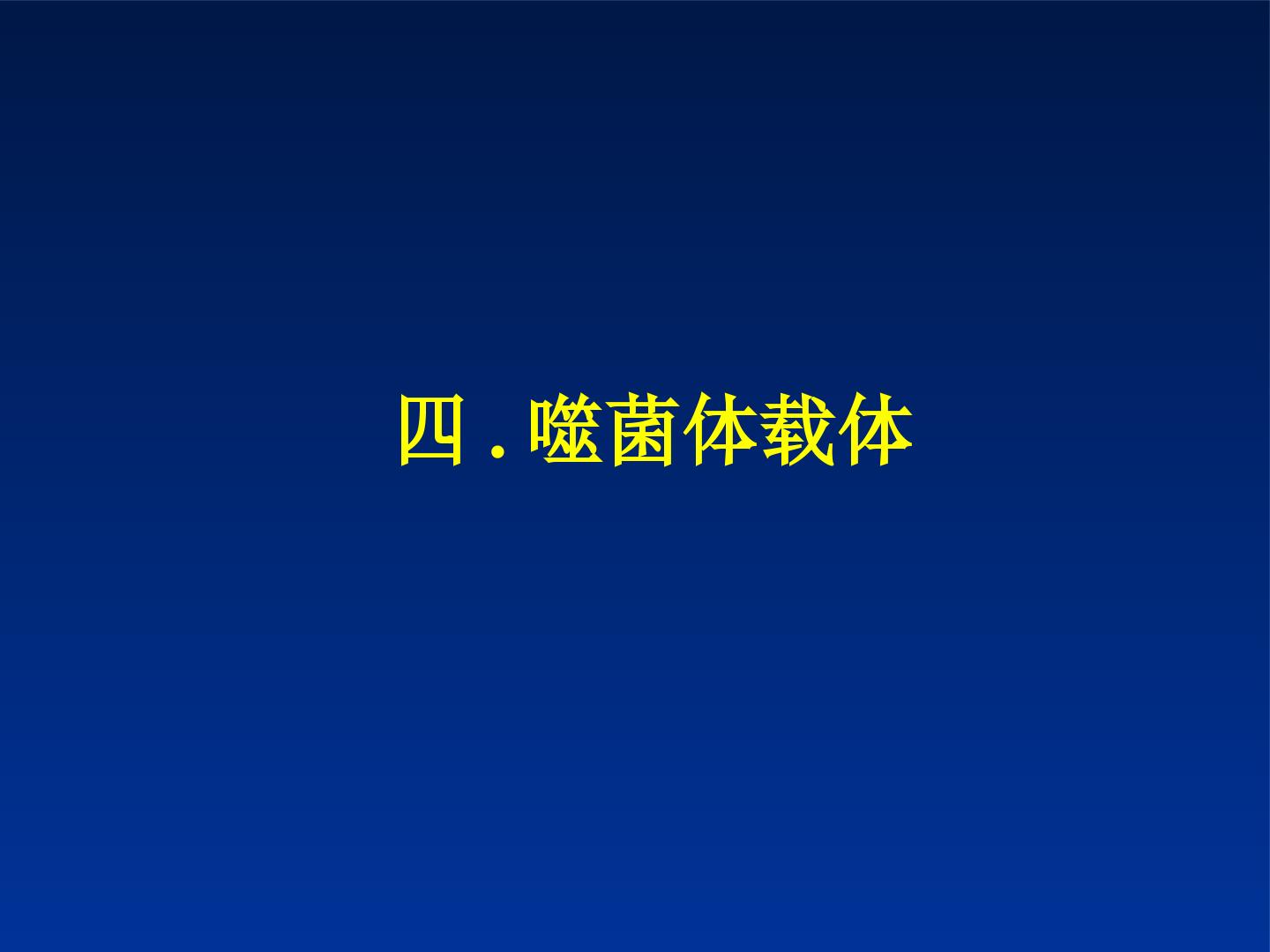 101.jpg