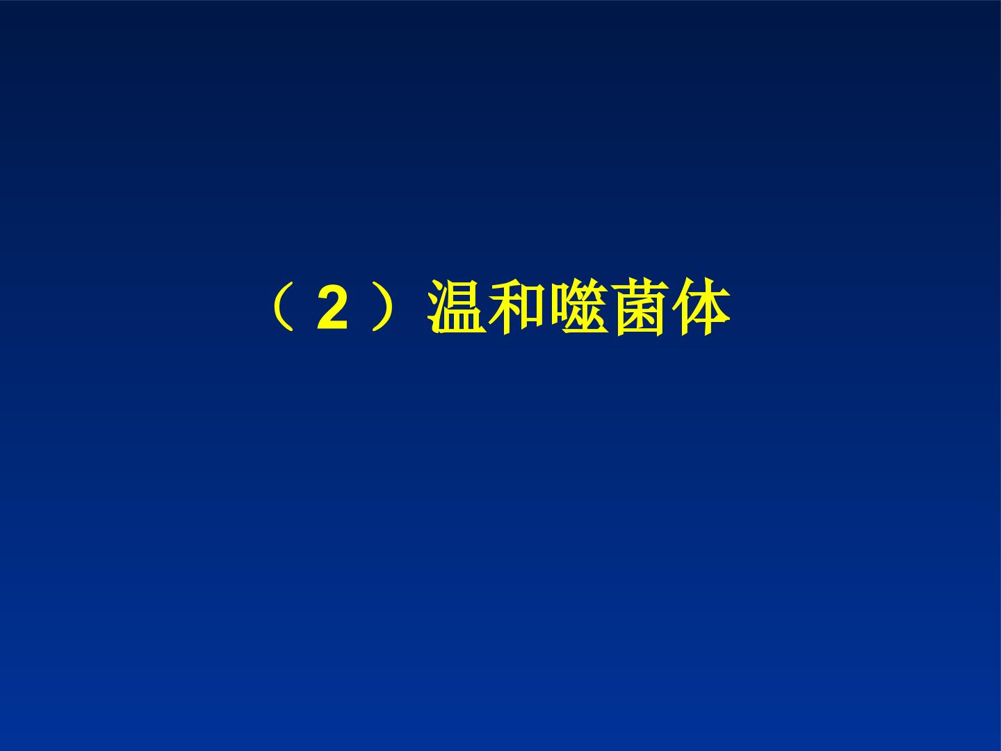 106.jpg
