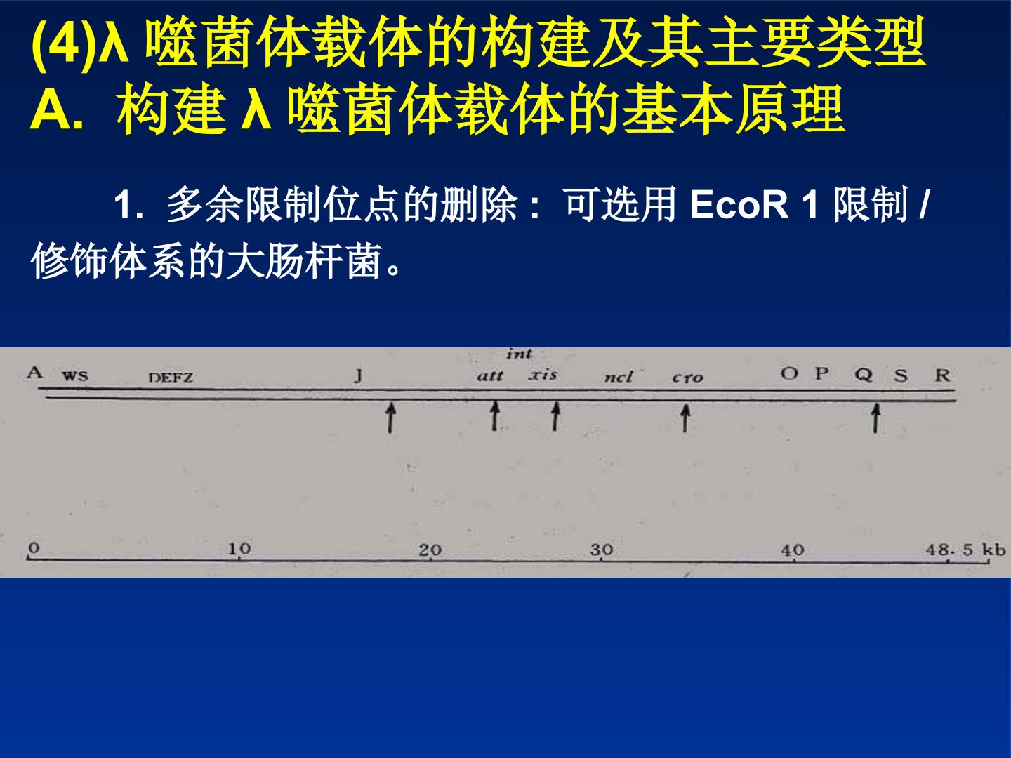 115.jpg
