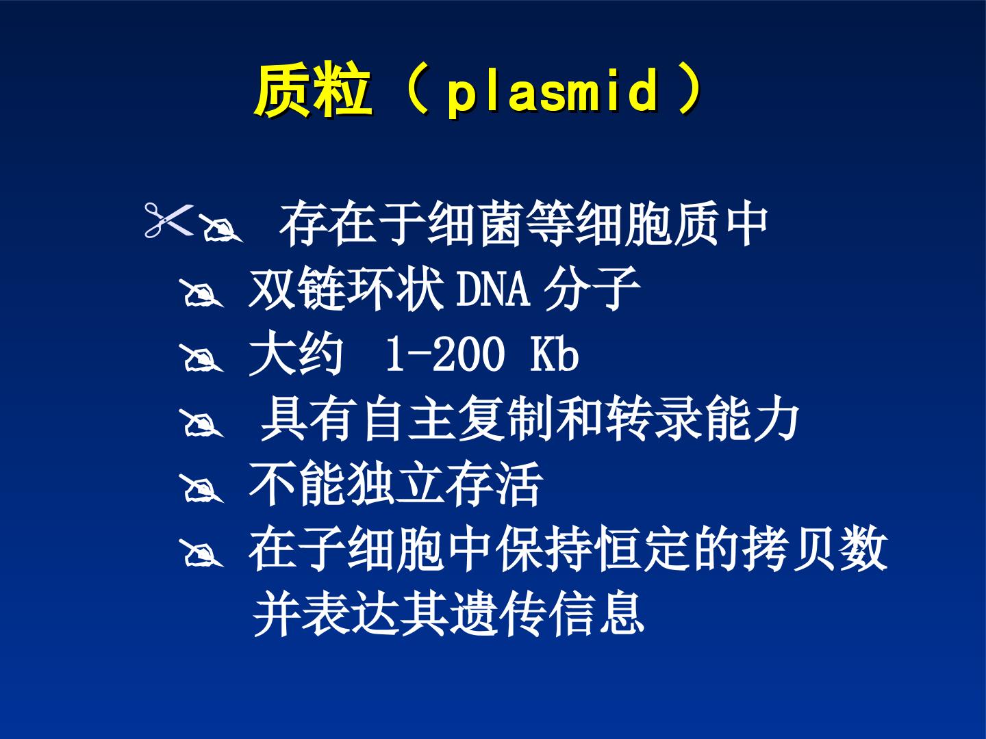 88.jpg